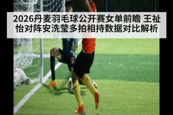 2026丹麦羽毛球公开赛女单前瞻 王祉怡对阵安洗莹多拍相持数据对比解析